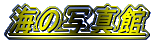 C̎ʐ^